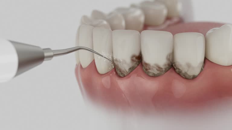 Reliable Dental contractor in Hampton, MD by Dentist Open Now
